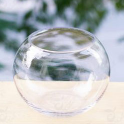 Cửa Hàng Cây Cảnh