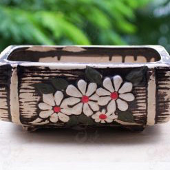 Cửa Hàng Cây Cảnh